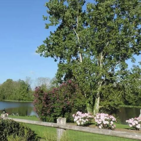 Camping L'Escapade - Camping Calvados - Image N°5