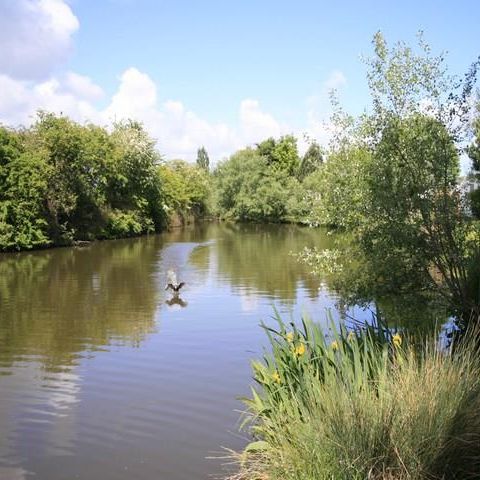 Camping Mirabel Les Prairies de la Mer - Camping Calvados - Image N°5