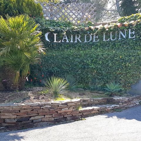 Camping Clair de Lune - Camping Var - Image N°3