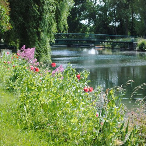 Camping La Sinope Camping La Sinope - Camping Manche - Image N°5