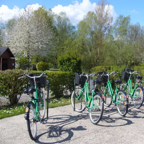 Camping des Cygnes - Camping Somme - Image N°6