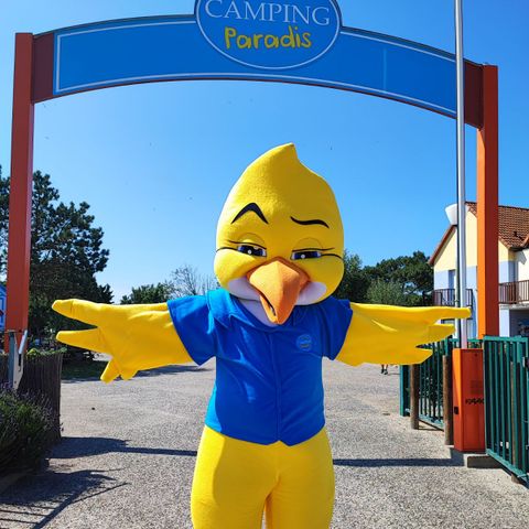 Camping Paradis Les Galets de la Mollière - Camping Somme - Image N°3