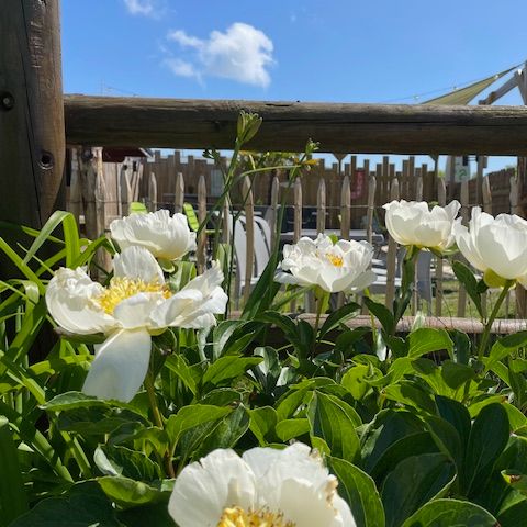 Camping Le Clos Des Genêts - Camping Somme - Image N°4