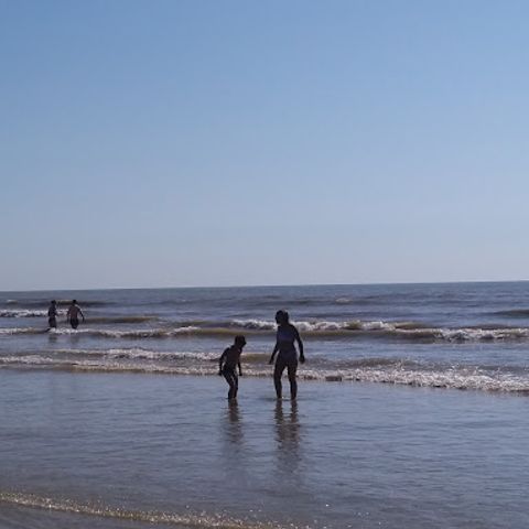 Camping Domaine de La Pinede - Camping Pas-de-Calais - Image N°2