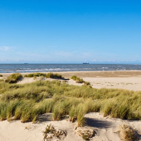 Camping Domaine de La Pinede - Camping Pas-de-Calais