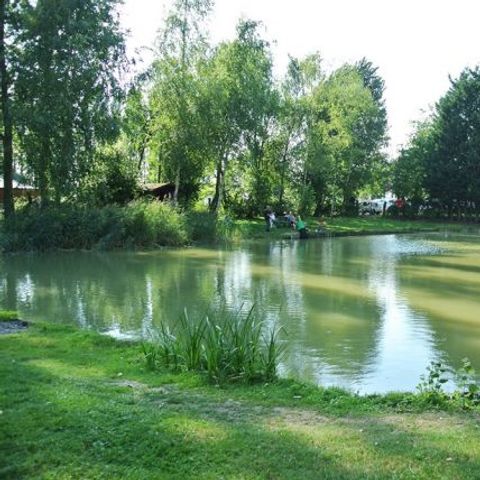 Camping les Alouettes et l'Image - Camping Nord - Image N°5