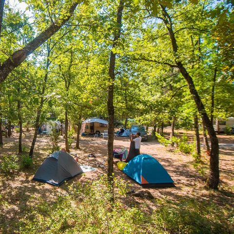 Flower Camping Jas du Moine - Camping Alpes-de-Haute-Provence - Image N°5