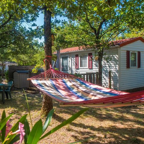 Flower Camping Jas du Moine - Camping Alpes-de-Haute-Provence - Image N°6