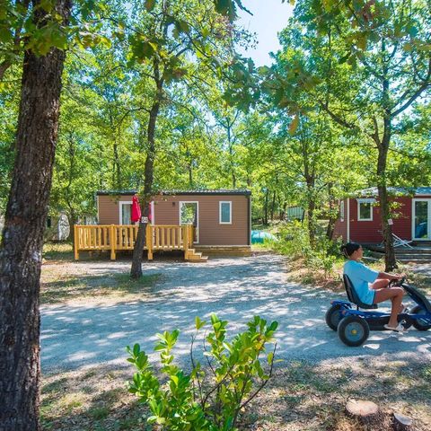 Flower Camping Jas du Moine - Camping Alpes-de-Haute-Provence - Image N°3