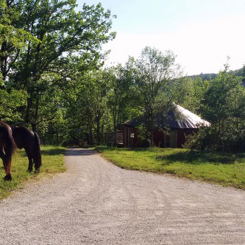 Camping Les Hauts d'Albas - Camping Lot - Image N°4