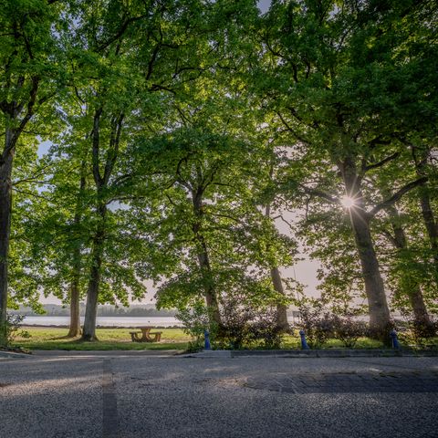 Domaine de la Vingeanne - Camping Haute-Marne - Image N°3