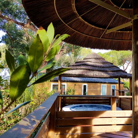 Camping Clair de Lune Camping Clair de Lune - Camping Var - Image N°4