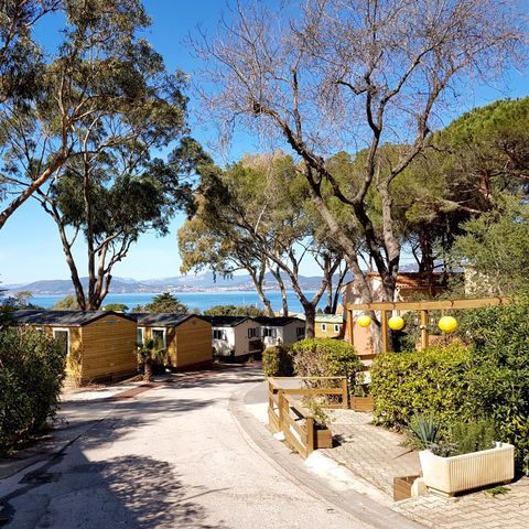Camping Clair de Lune Camping Clair de Lune - Camping Var - Image N°2