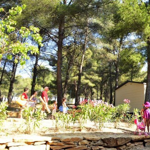 Camping AEC Vacances Les Dauphins - Camping Var - Image N°4