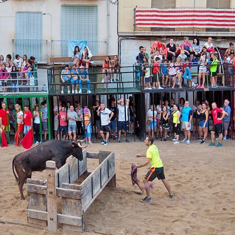 Camping L'Orangeraie  - Camping Castellón - Image N°6