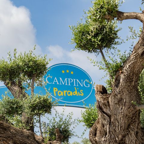 Camping L'Orangeraie - Camping Paradis Camping L'Orangeraie - Camping Paradis - Camping Castellón - Image N°5