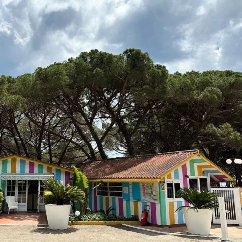 Camping Vall d'Or - Camping Gérone - Image N°4