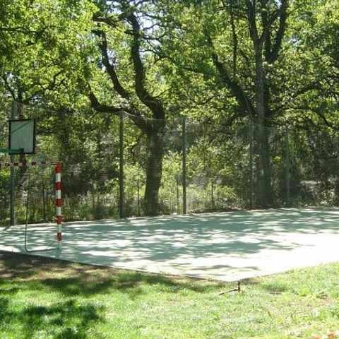 Camping Etxarri Camping Etxarri - Camping Navarre - Image N°5
