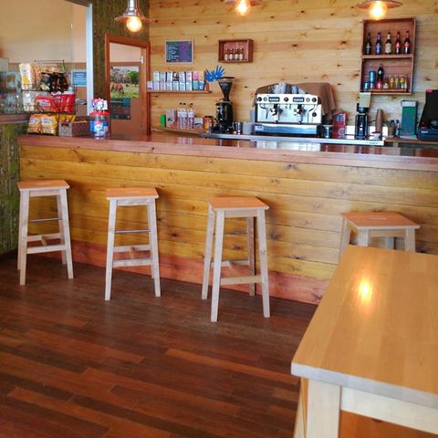 Camping Ecocamp Vinyols - Camping Tarragone - Image N°5