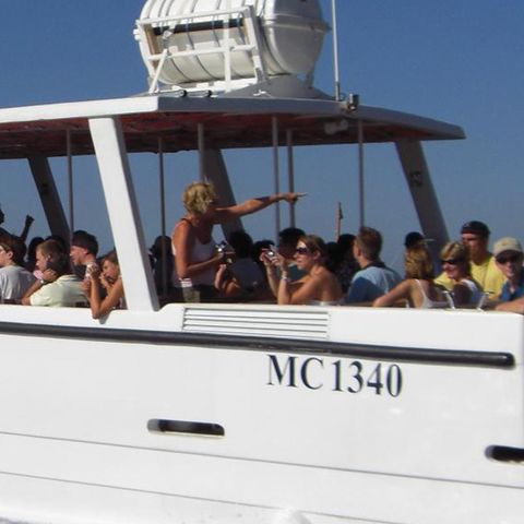 Camping Villaggio Nettuno - Camping Naples - Image N°5