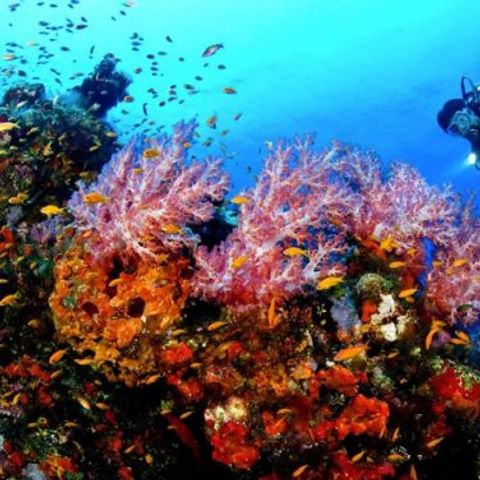 Camping Villaggio Nettuno - Camping Naples - Image N°4