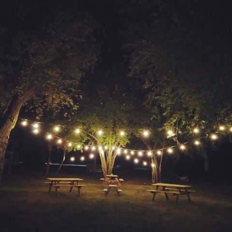 Camping Ile d'Amour - Camping Yonne
