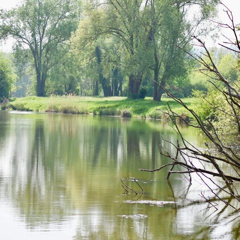 Camping Ile d'Amour - Camping Yonne - Image N°5