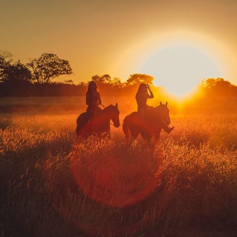 Camping Ile d'Amour - Camping Yonne - Image N°3