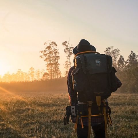 Camping Ile d'Amour - Camping Yonne - Image N°2