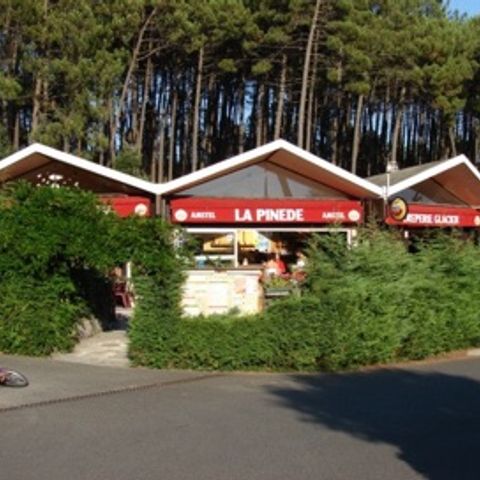 Les Cottages de Leon - Camping Landes - Image N°6