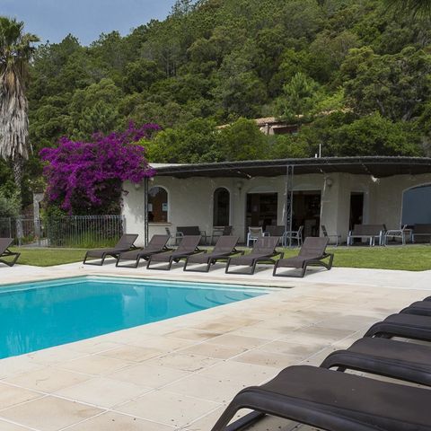 Camping Résidence Mare e Monte - Camping Corse du Sud - Image N°3