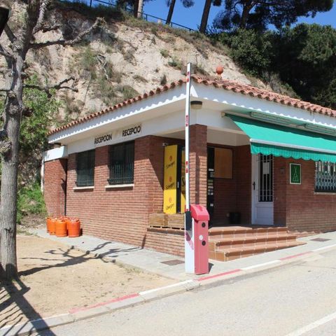 Camping El Carlitos - Camping Barcelone - Image N°6