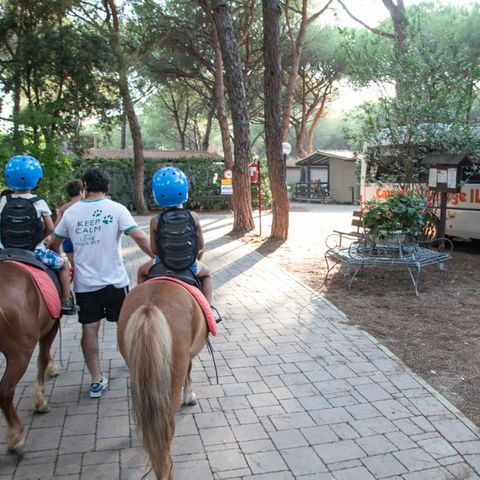 Camping Village Il Sole - Camping Grosseto - Image N°6
