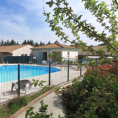 VVF Villages - Les Cigales du Gard - Méjannes le Clap - Camping Gard - Image N°5