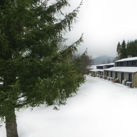 VVF Villages - Les Sucs du Velay - Saint-Julien-Chapteuil VVF Villages - Les Sucs du Velay - Saint-Julien-Chapteuil - Camping Haute-Loire - Image N°5