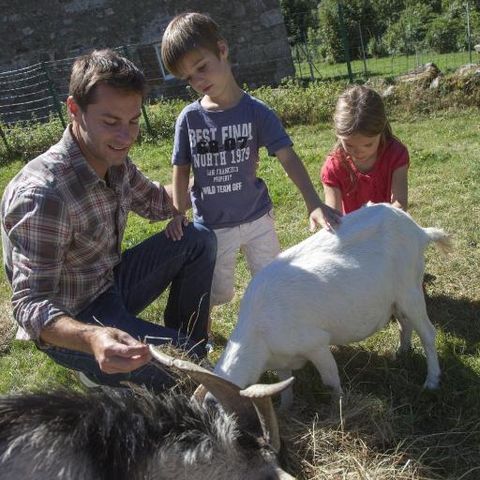 VVF Villages - Les Portes des Monts d'Ardèche - Tence - Camping Haute-Loire - Image N°6