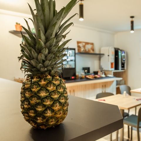 Appart'Hôtel Brest - Camping Finistère - Image N°5