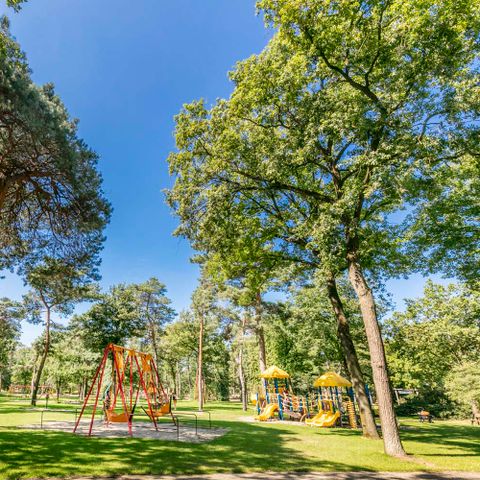 Tour Opérateur sur Vakantiepark de Bergen Tour Opérateur sur Vakantiepark de Bergen - Camping Sint Anthonis - Image N°5