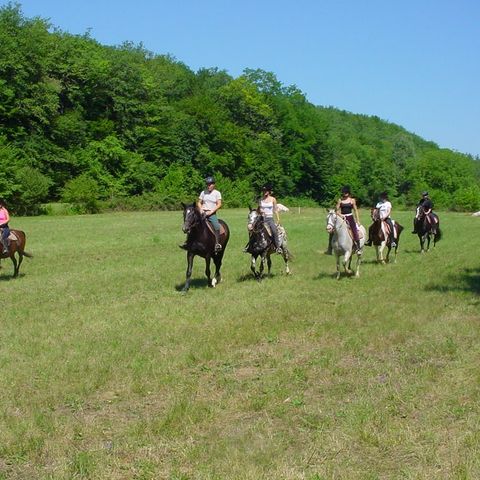Camping Le Pech Charmant - Dordogne - Camping Dordogne - Image N°2