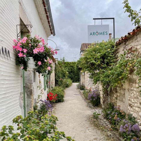 Camping Ecolodges Domaine de la Forêt - by Ocean Mobilhomes Camping Ecolodges Domaine de la Forêt - by Ocean Mobilhomes - Camping Charente-Maritime - Image N°3