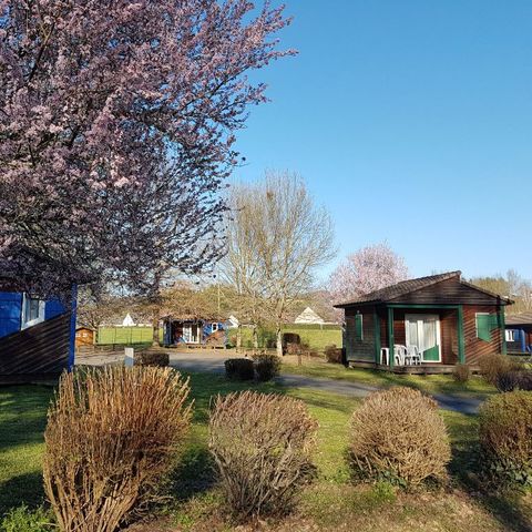 Camping municipal La Rivière - Donzenac Camping municipal La Rivière - Donzenac - Camping Corrèze - Image N°5