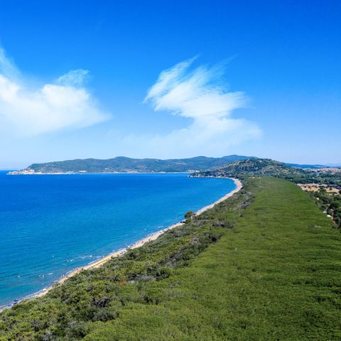 Gitavillage Il Gabbiano Gitavillage Il Gabbiano - Camping Grosseto - Image N°2