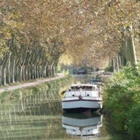 Village vacances Les Romarins Village vacances Les Romarins - Camping Aude - Image N°6