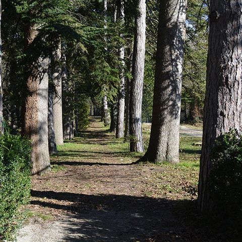 Rio Verde Rio Verde - Camping Pérouse - Image N°2