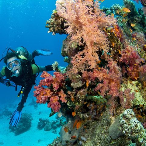 Camping Village Tavolara Camping Village Tavolara - Camping Sassari - Image N°5