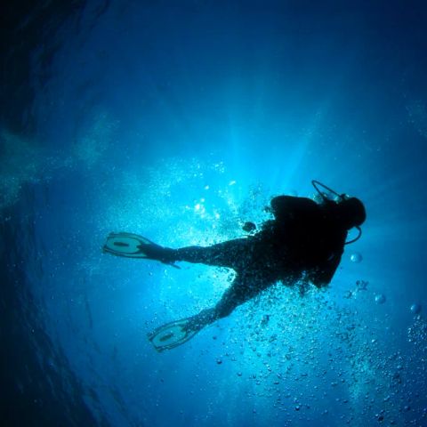 Camping Le Cernie - Camping Ogliastra - Image N°3