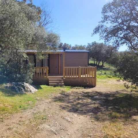 Camping La'Bel Balagne - Camping Corse du Nord - Image N°5