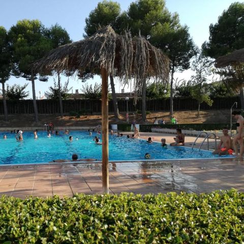 Camping Fayón Fishing Camping Fayón Fishing - Camping Saragosse - Image N°2
