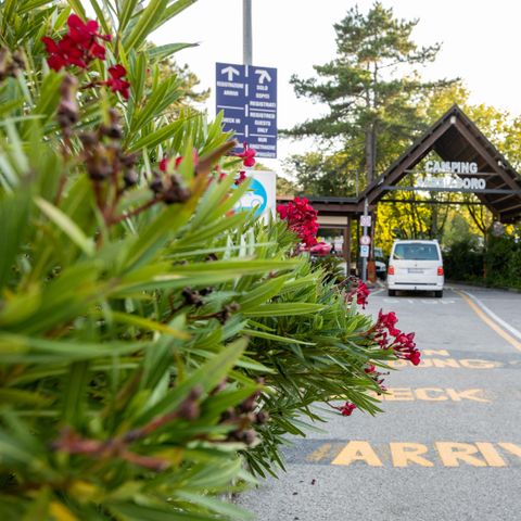 Camping Sabbiadoro - Camping Udine - Image N°5