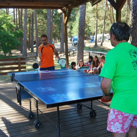 Camping Urbión Camping Urbión - Camping Soria - Image N°5